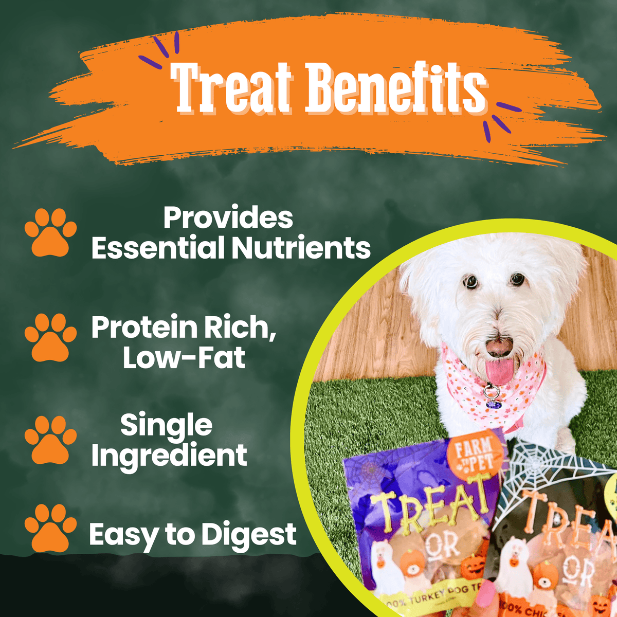 Halloween Dog Treat Snack Pack Bundle - My Home Sweet Home
