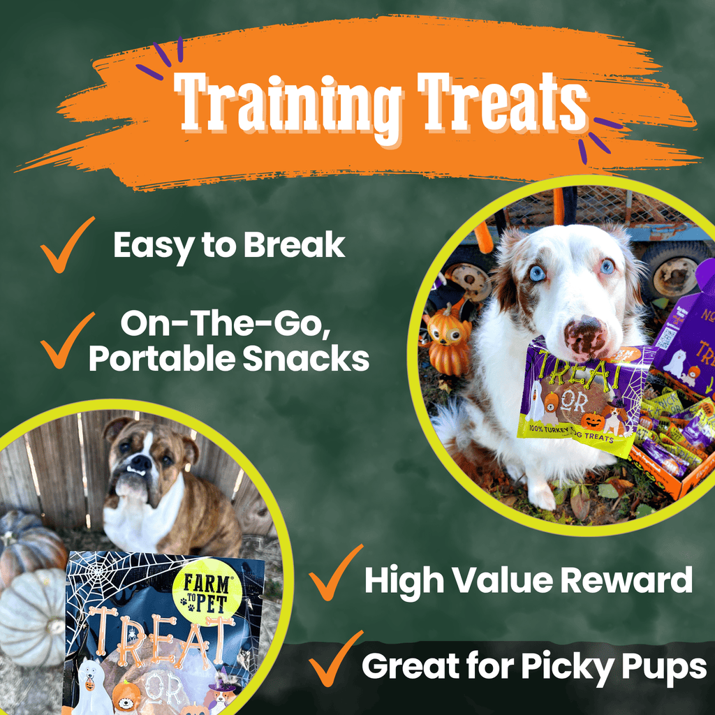 Halloween Dog Treat Snack Pack Bundle - My Home Sweet Home