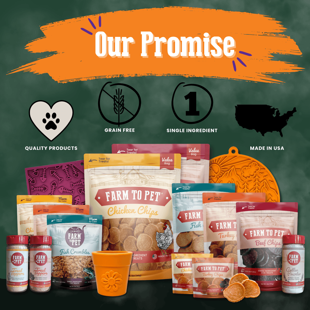 Halloween Dog Treat Snack Pack Bundle - My Home Sweet Home